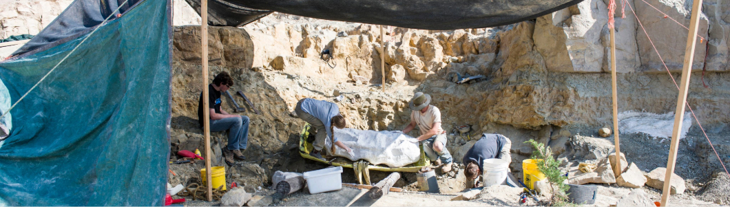 students doing research in sand