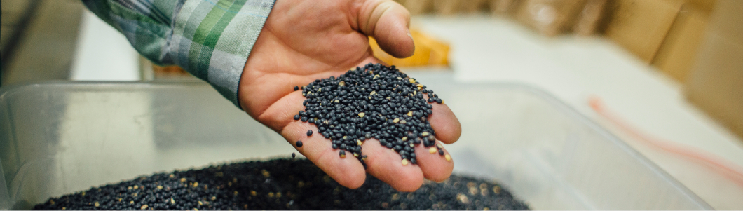A scientist weighs out a flour for measurement.