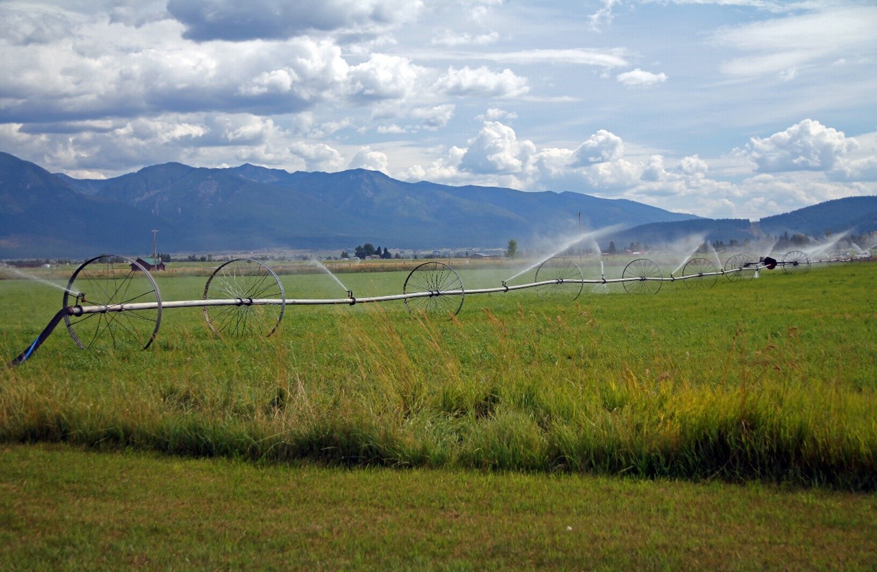Irrigated Agriculture in Montana