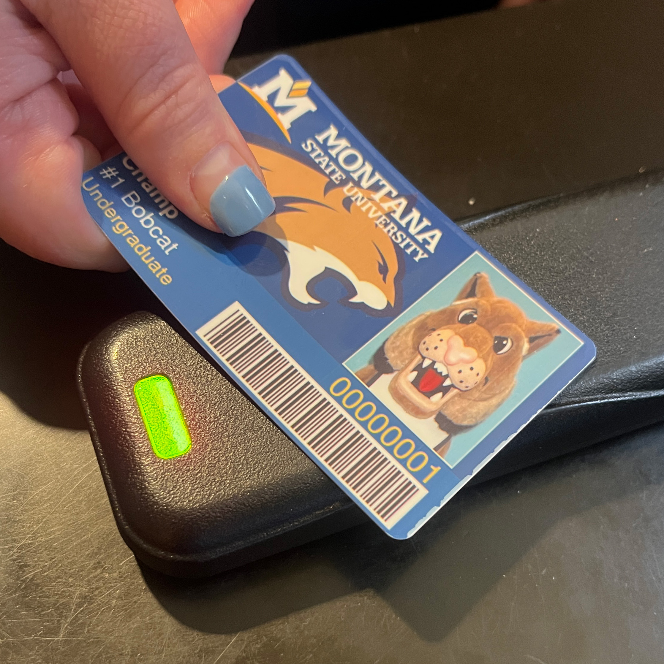 catcard being tapped in