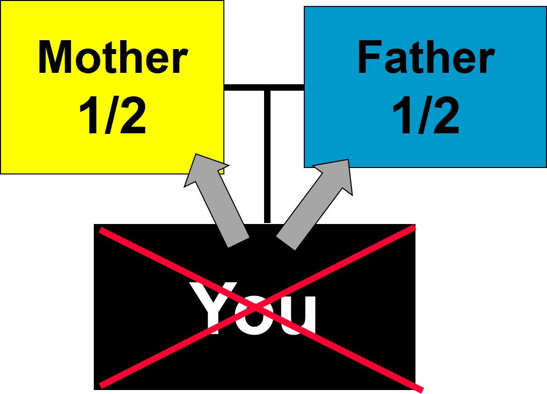 Single:  Situation 1 Example 1