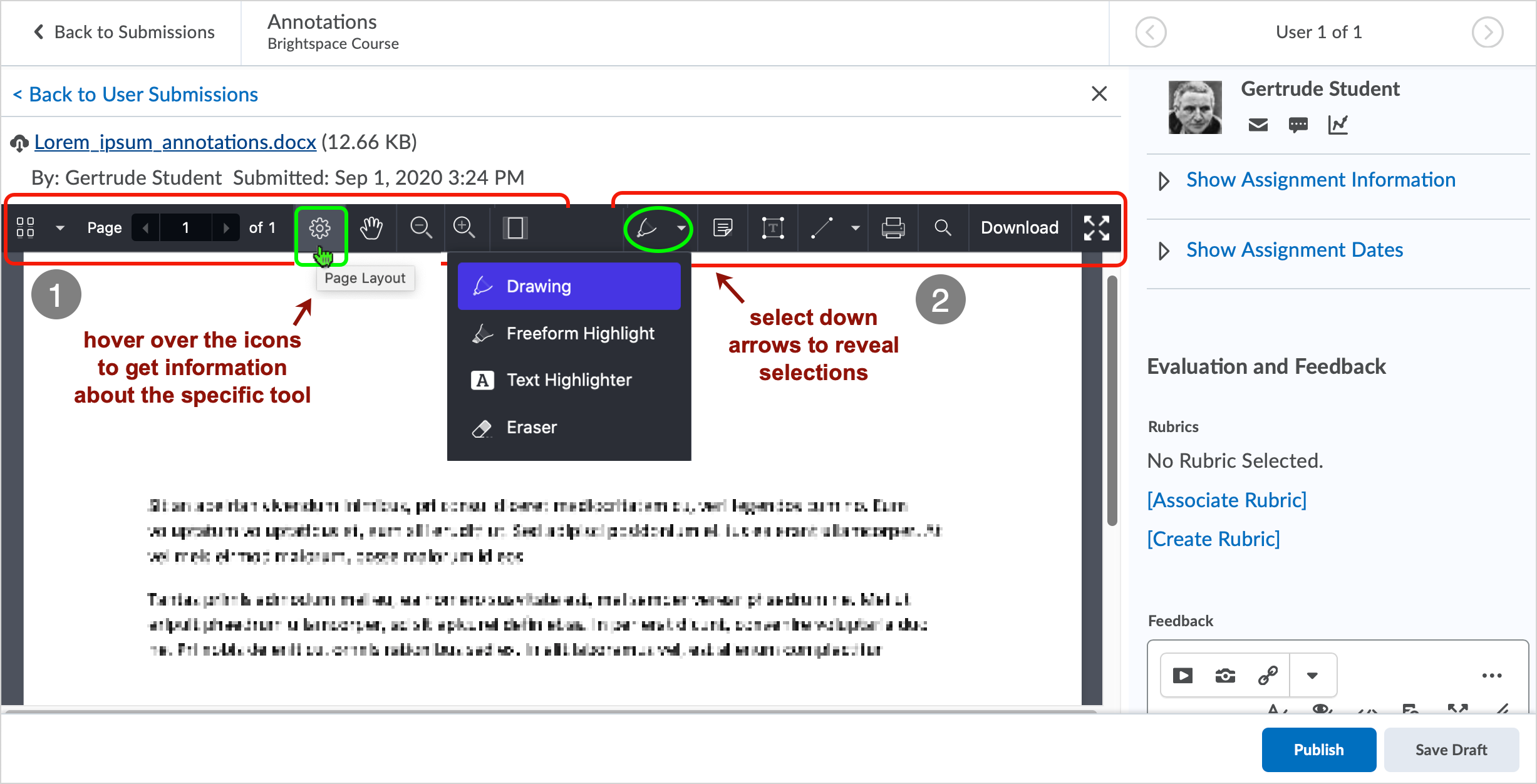 Brightspace screenshot - CD 20_20_10 - Annotations Tools are available from the top of a sub mission in an Assignmenmt folder