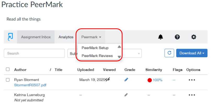 Peermark setting window setup option outlined in red