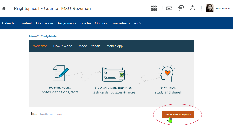 Brightspace_StudyMate screenshot 20.19.10 - StudyMate initial screen display