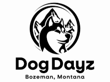 Dog Dayz logo for Dog Dayz