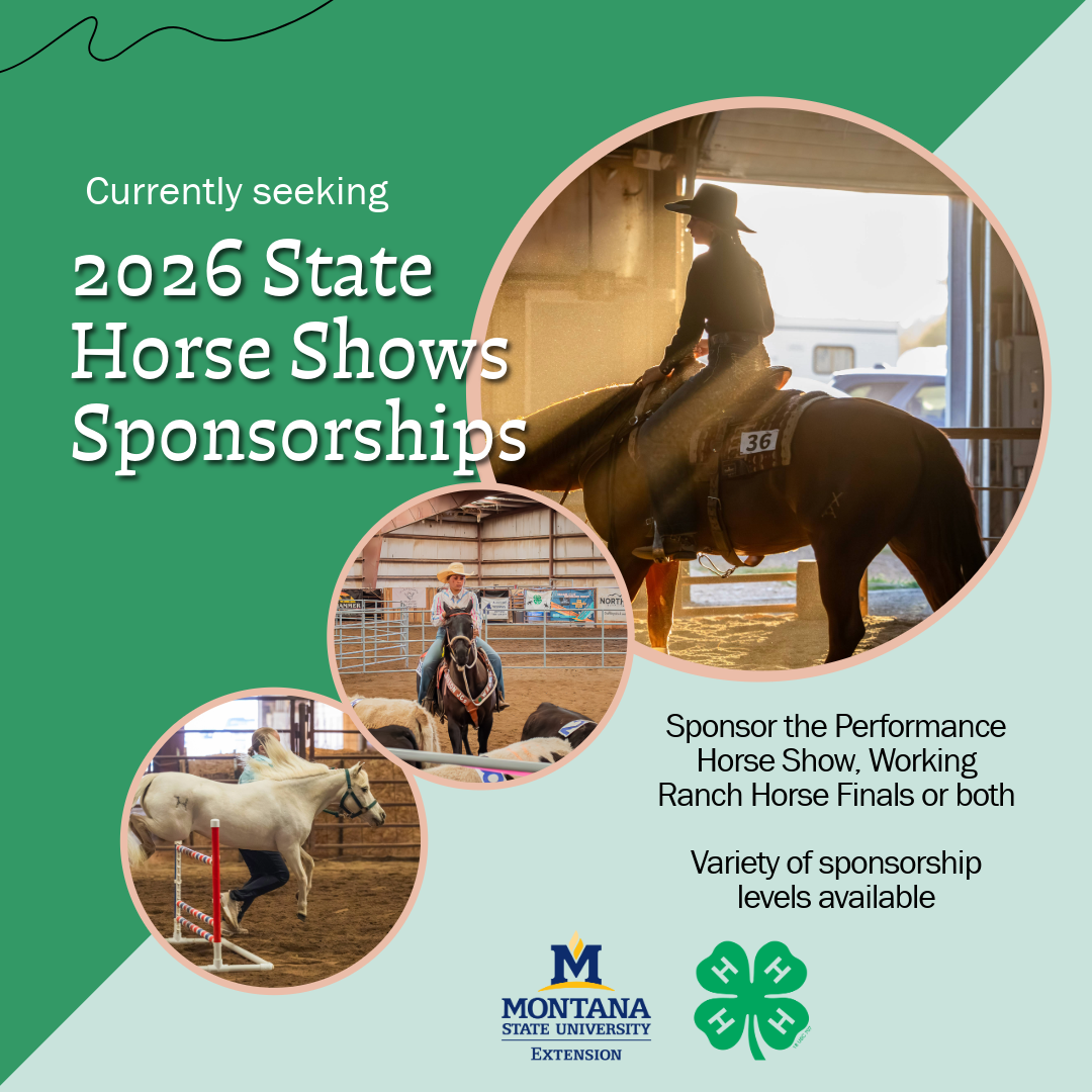 Horse Show Sponsorships