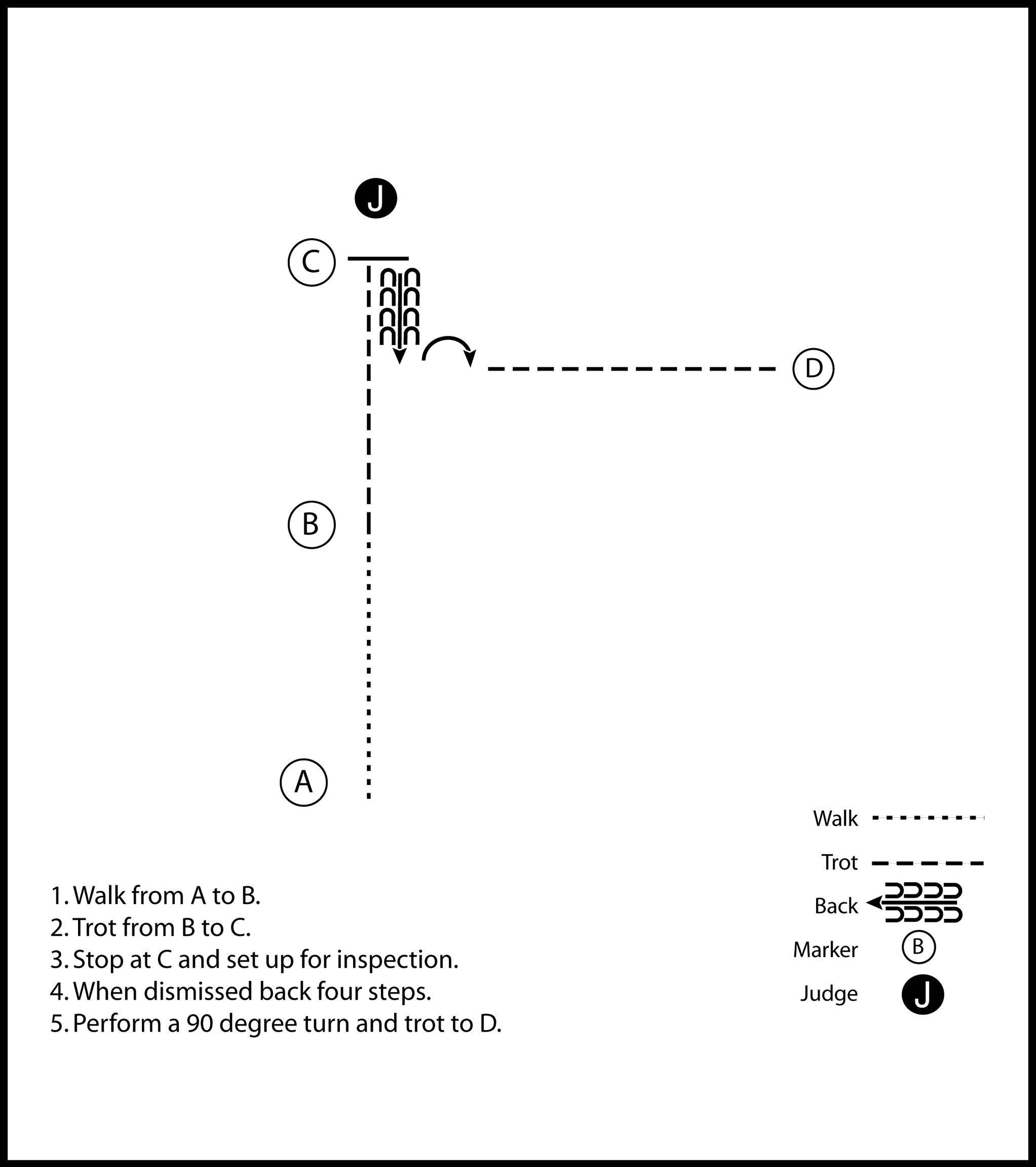 This diagram outlines another horse showmanship pattern where the participant walks, trots, stops, backs up, and sets up for inspection by a judge. After inspection, they back up four steps, make a 90-degree turn, and trot to the final marker.