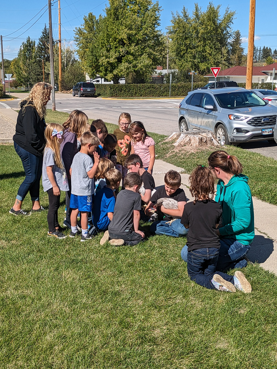 Kids gathering around chicken