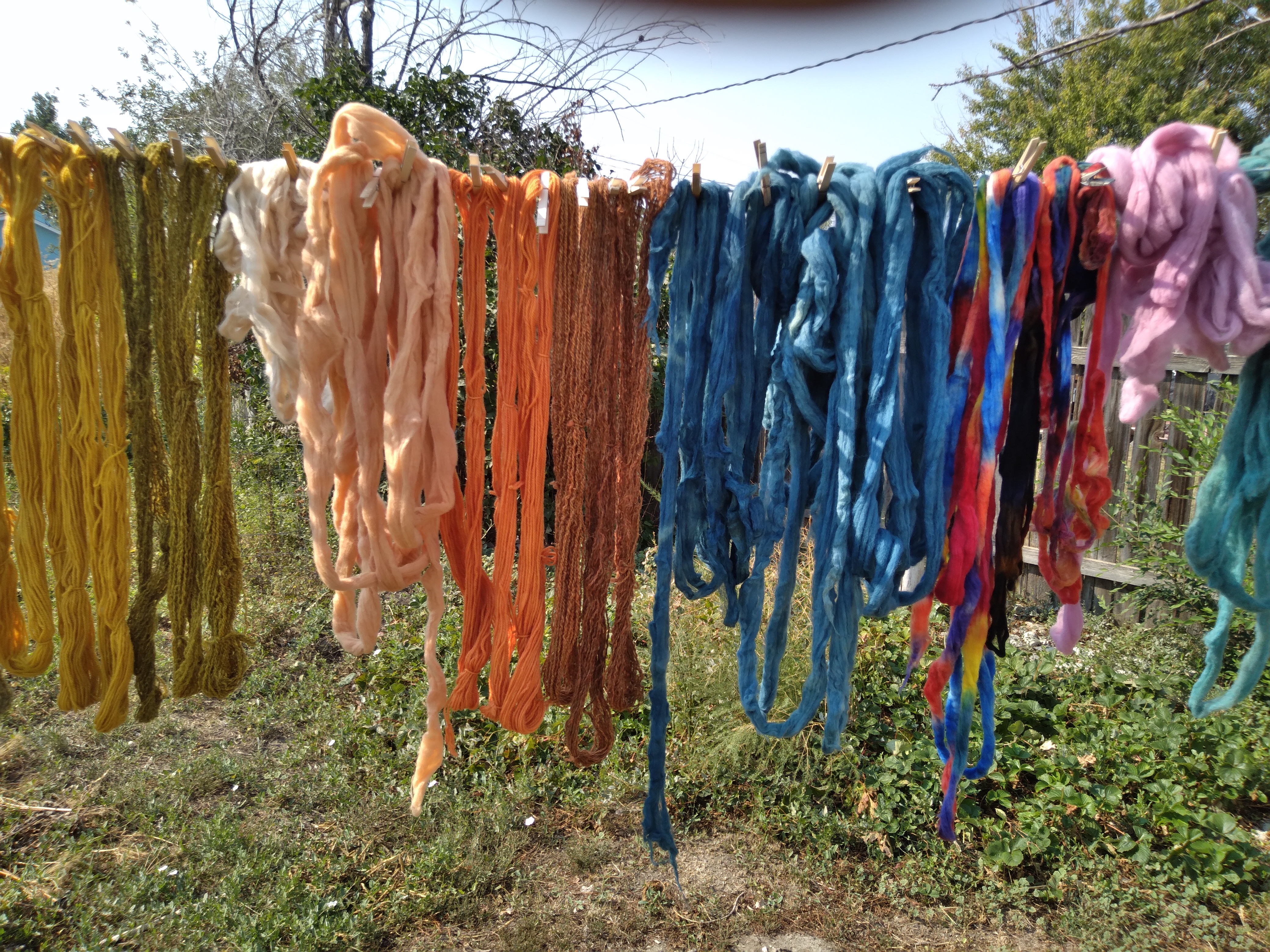 Dyed yarn and wool roving