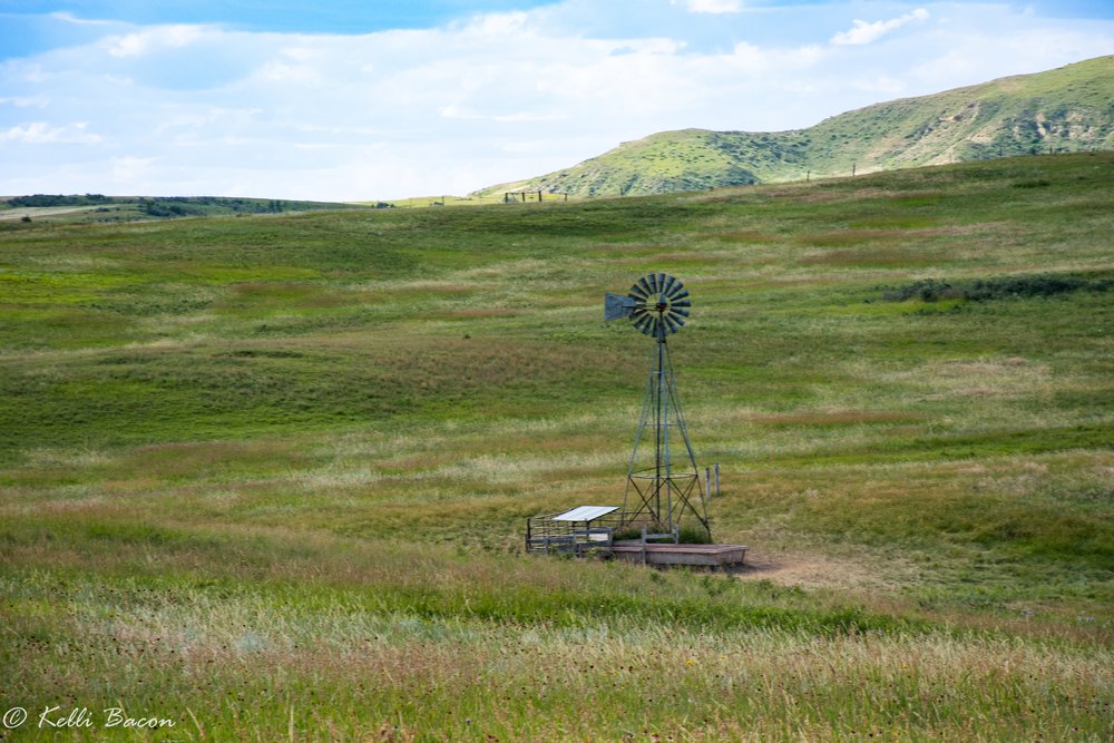 Livestock tank utilizing well water