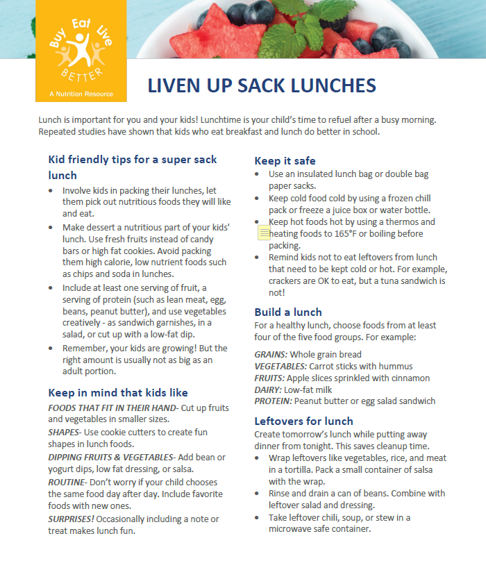 A snapshot of the Lunches factsheet printable PDF