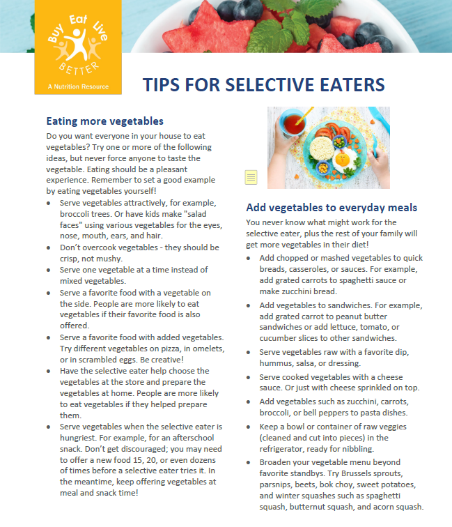 A snapshot of the Tips for Selective Eaters factsheet printable PDF