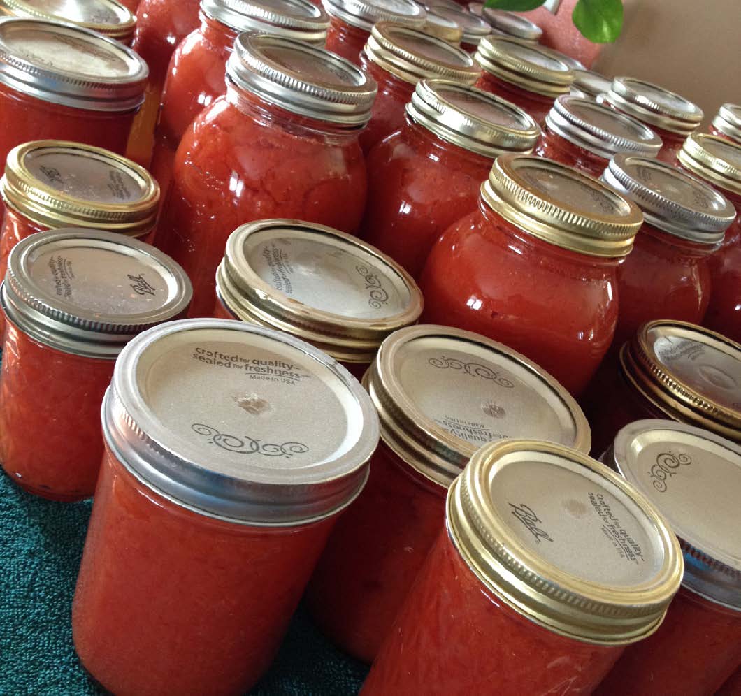 A collection of clear jars filled with the same red substance and topped with a silver lid.