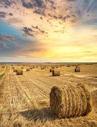 Round Bales