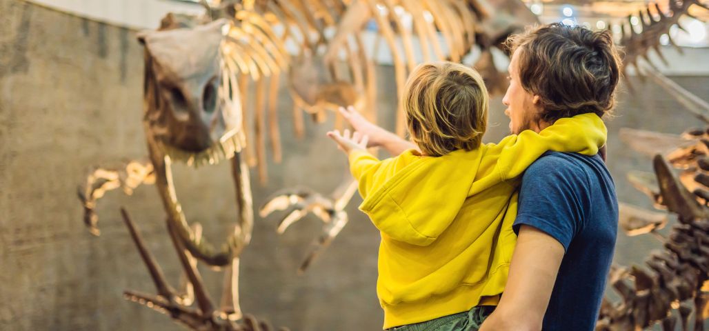 An adult and child are gesturing toward a large dinosaur skeleton