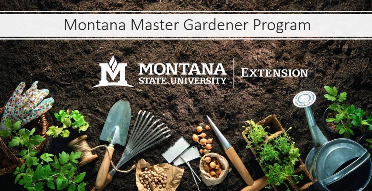 Garden tools and soil with MSU Extension Logo