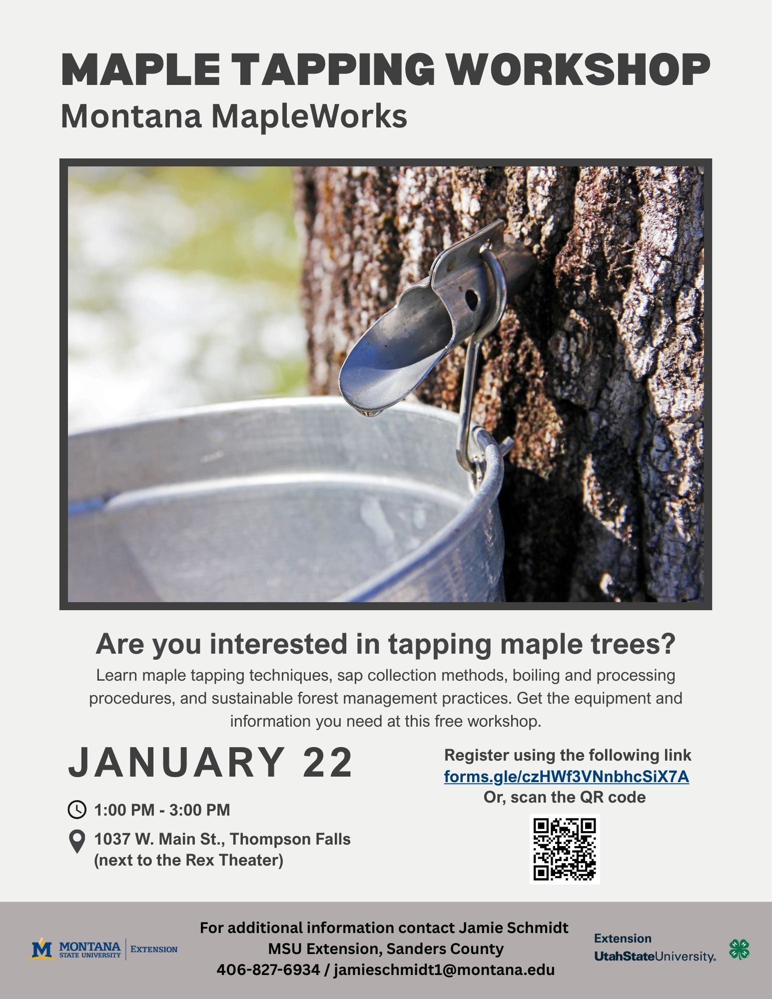 Maple Tapping