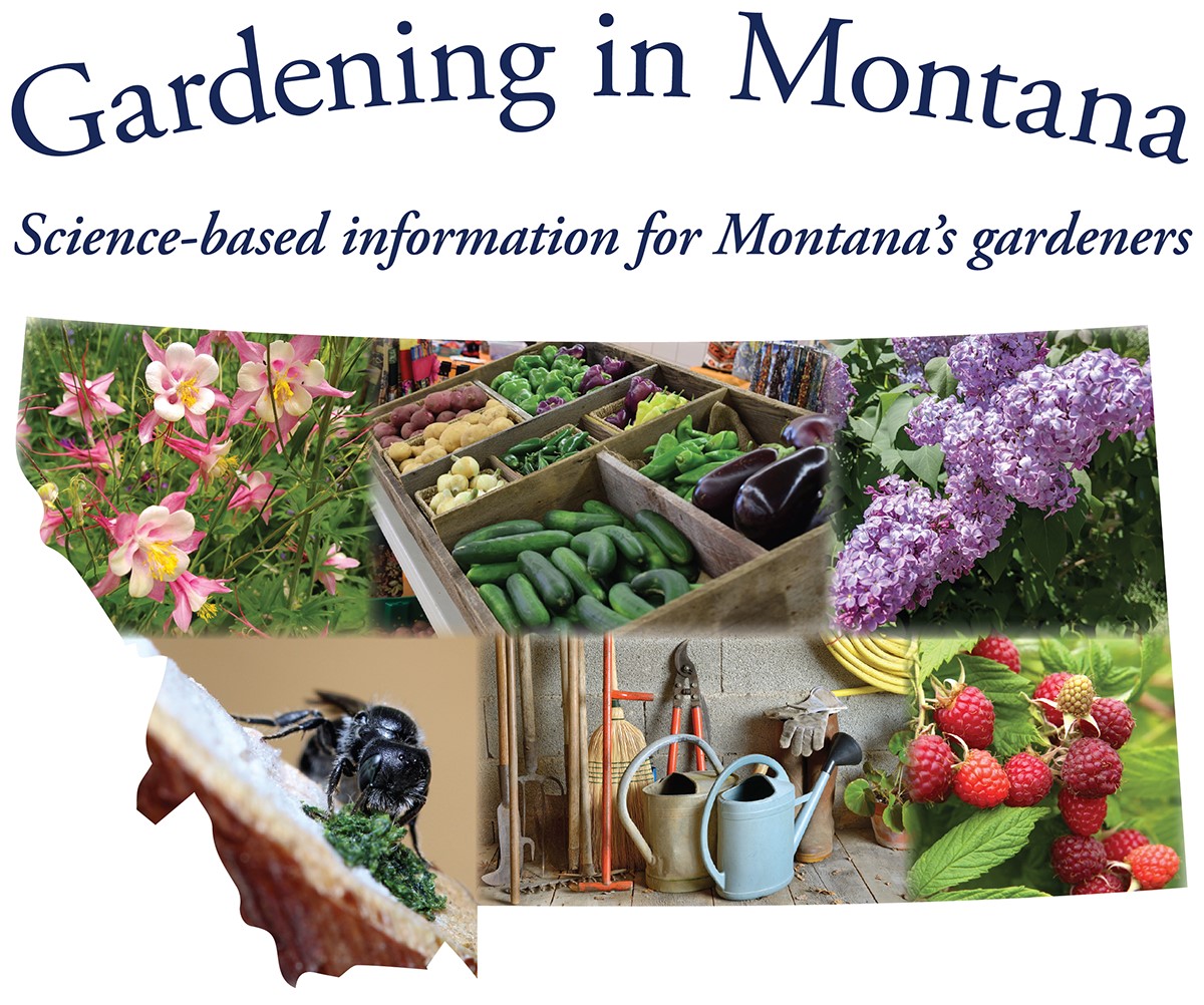 Different gardening related pictures within the shape of the state of Montana with the title: Gardening in Montana, science-based information for Montana's gardeners