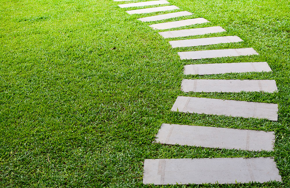 Steps and grass.