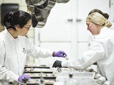 Dr. Kuo works with students in the kitchen to prep for a sensory test