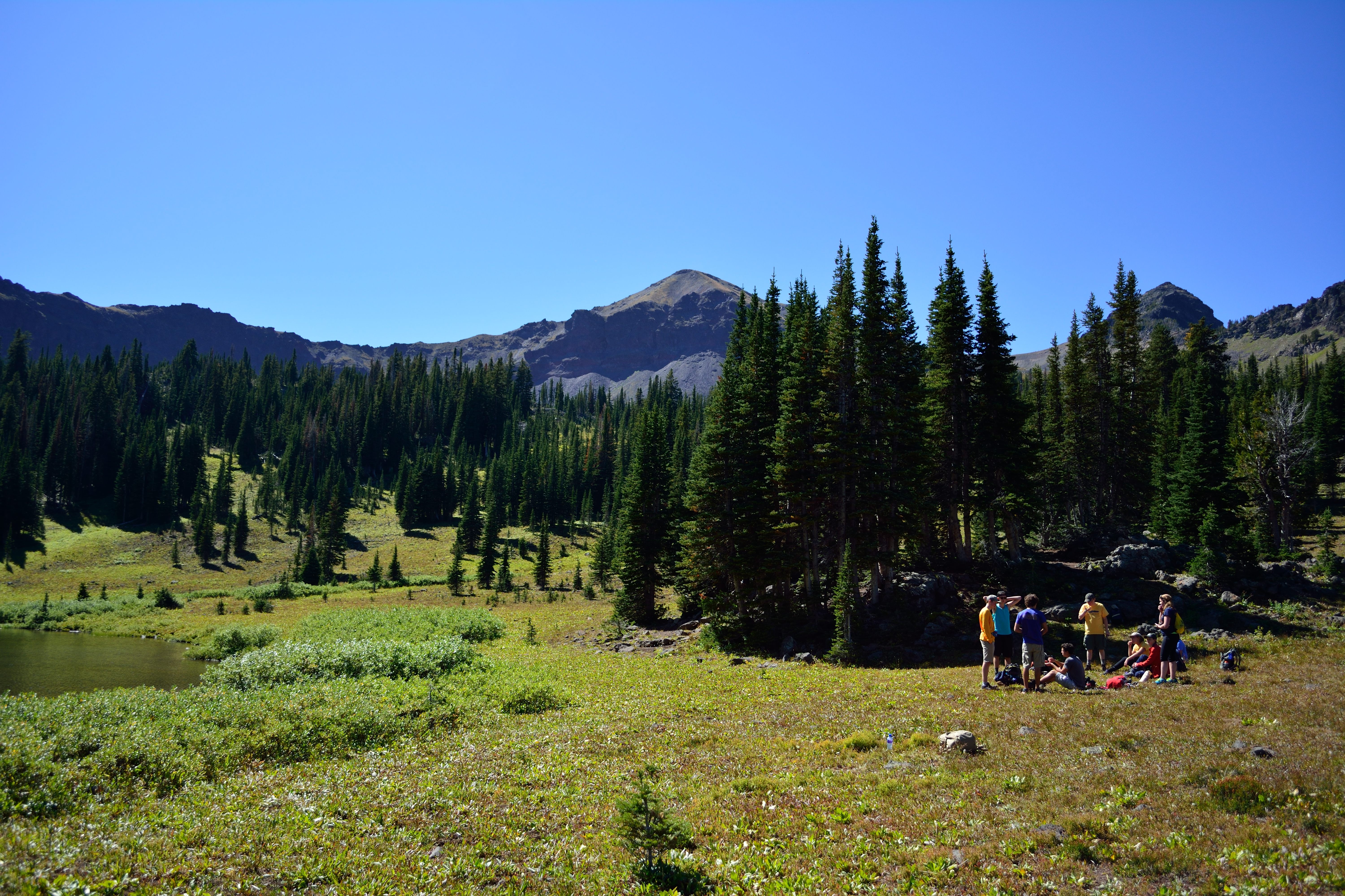 people in a mountain meadow