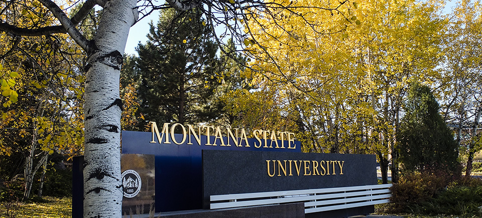 An ornate sign that says Montana State University with green and yellow trees behind it