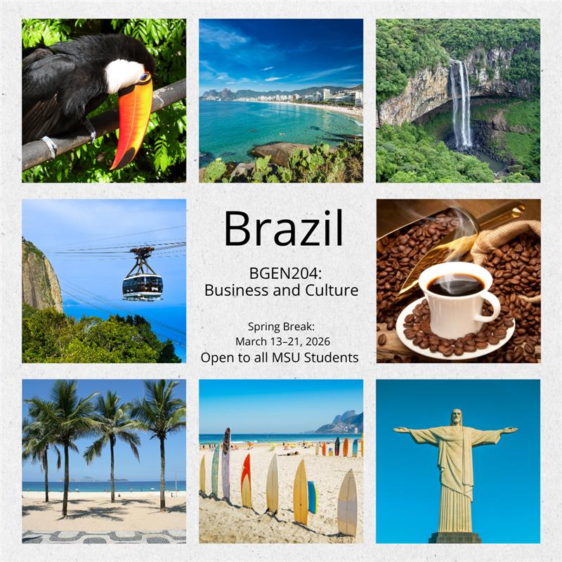 Brazil Faculty-Led Study Abroad