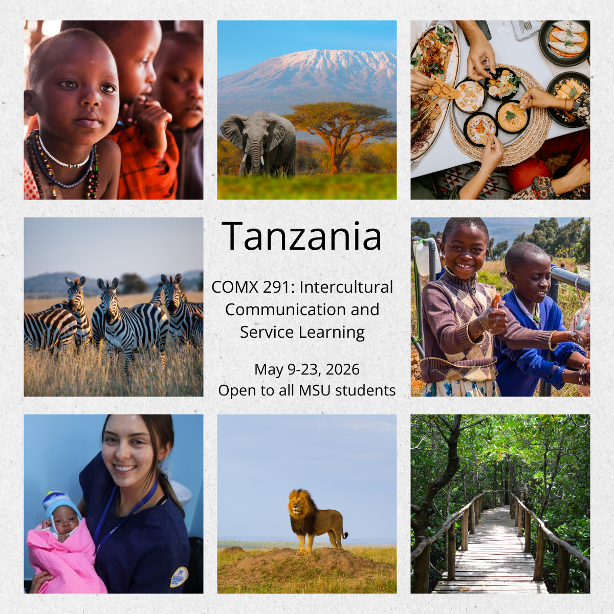 Tanzania Faculty-Led Study Abroad Program