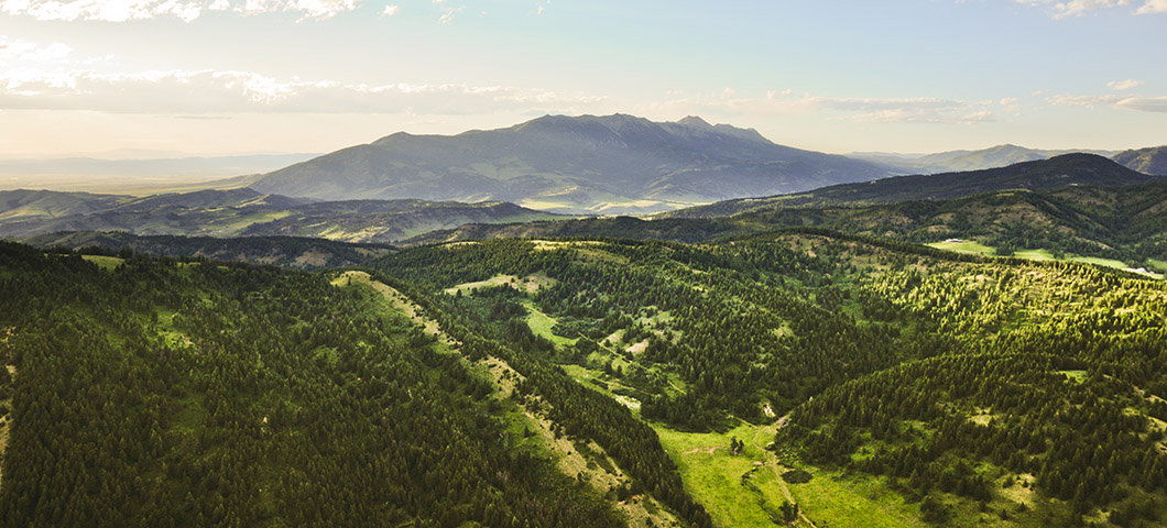 Montana landscape