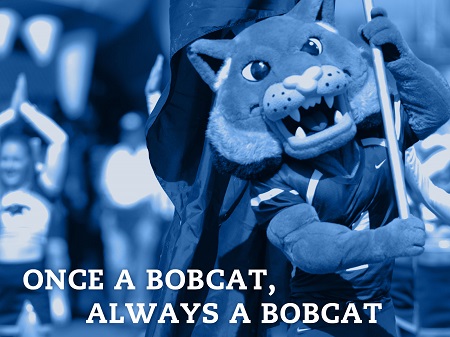 Once a Bobcat Wallpaper