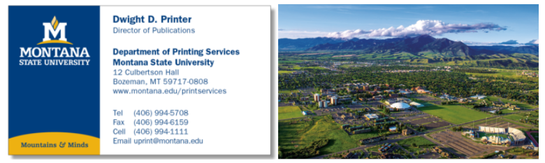 business card example 