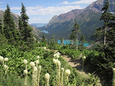 Glacier National Park View