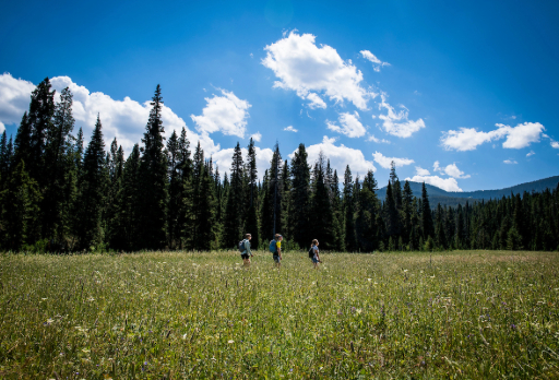 students hiking