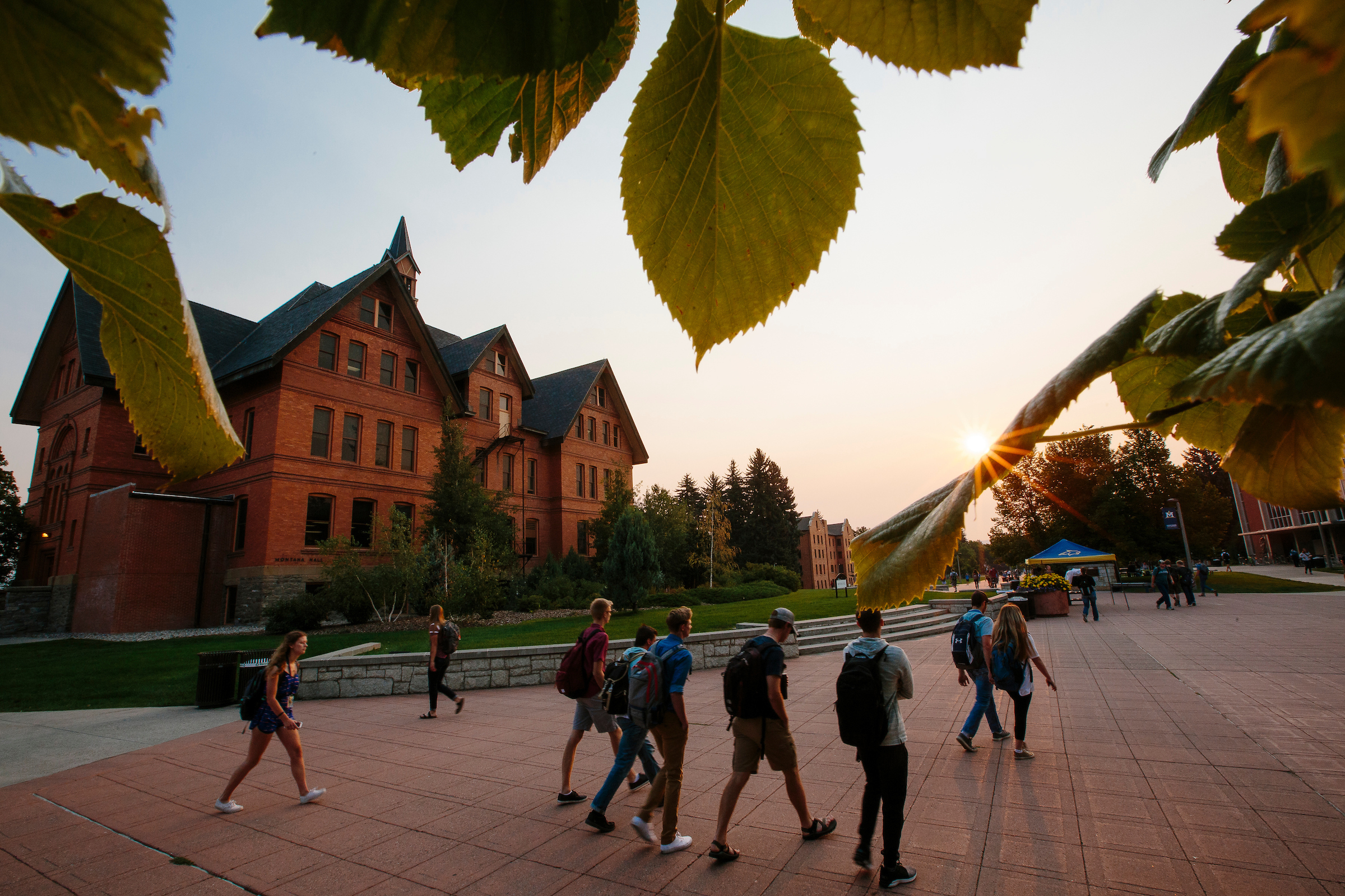 students walking at dusk