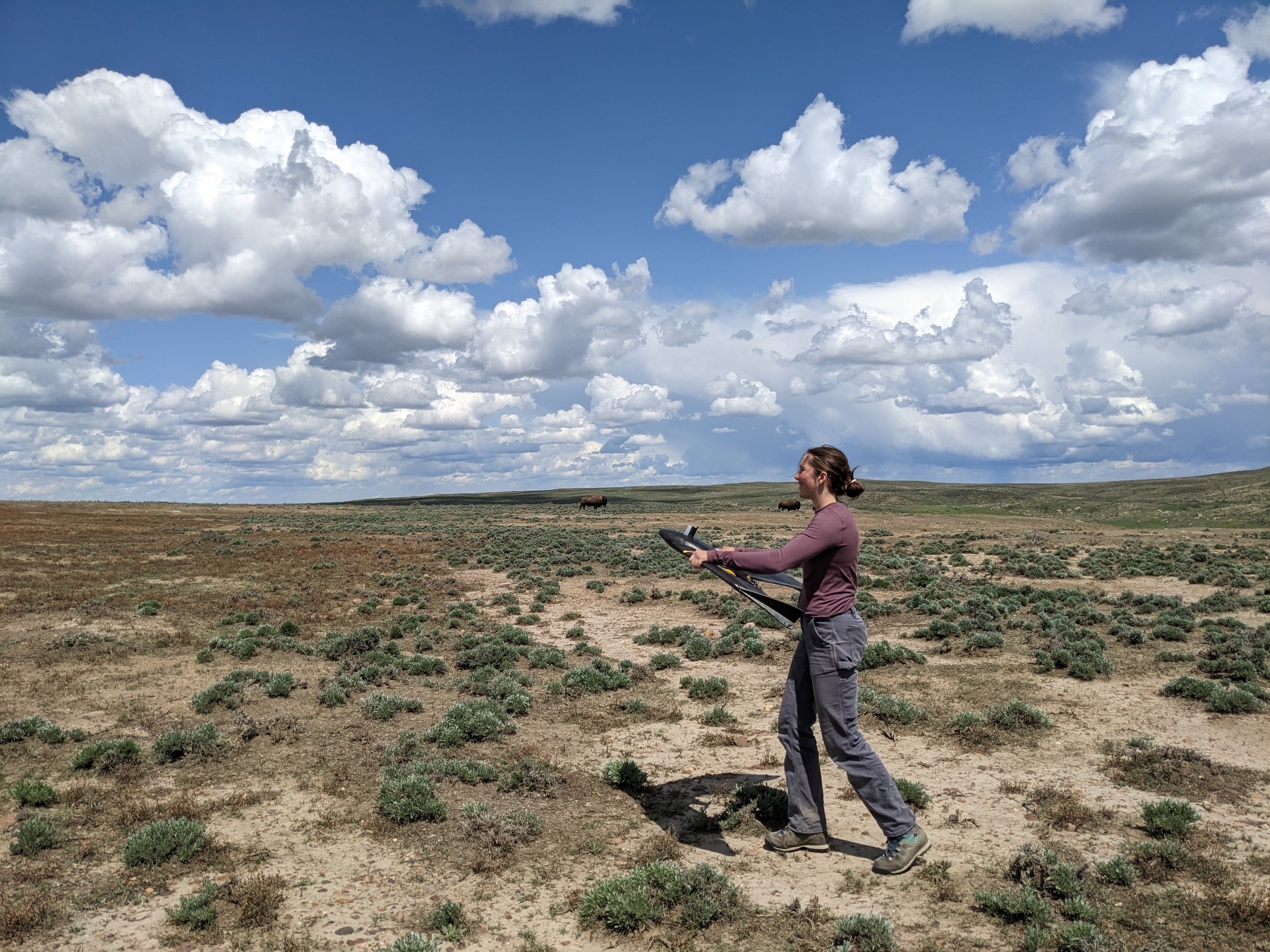 woman and prairie