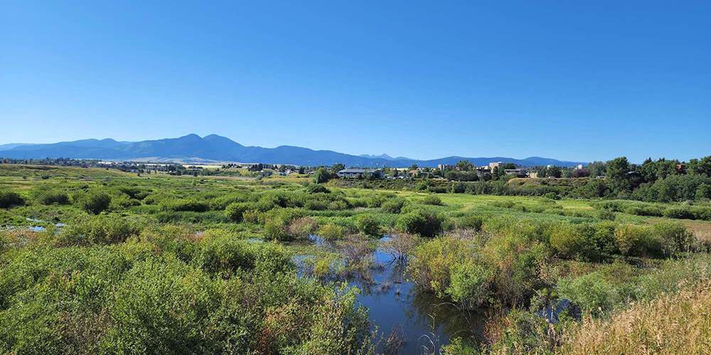 a wetland landscape with mountains in the background