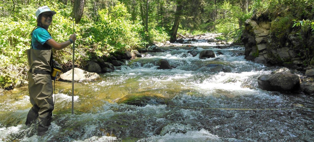 woman wading in stream with stick